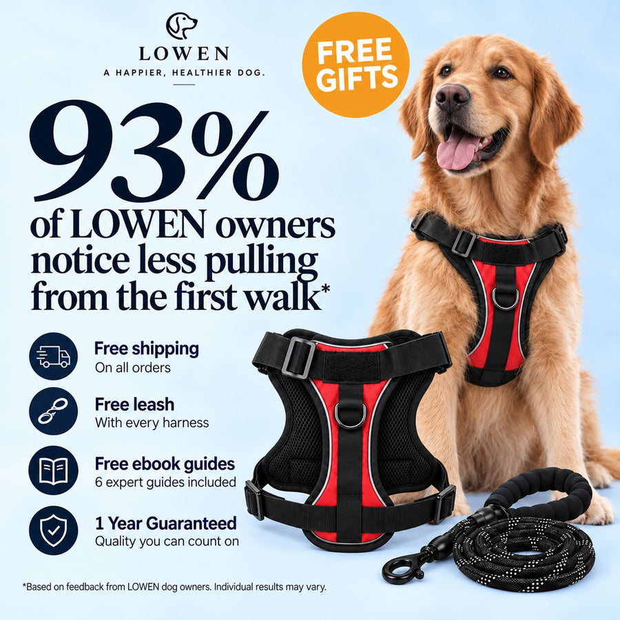 No-Pull Harness