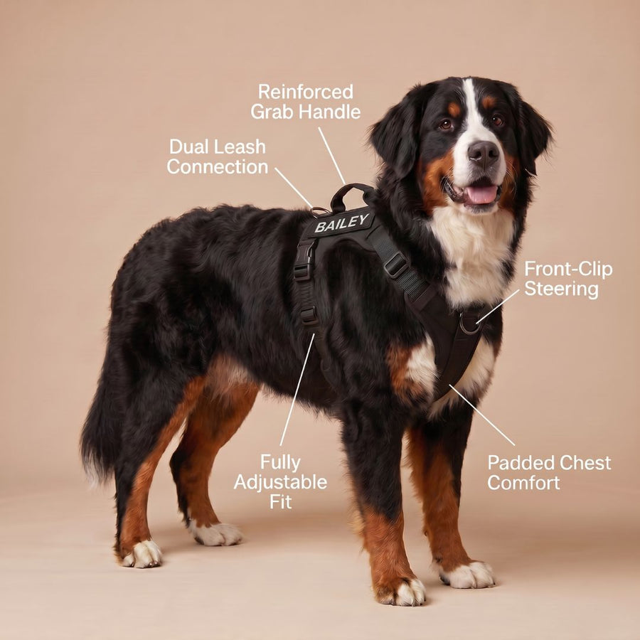 LOWEN™ No-Pull Harness