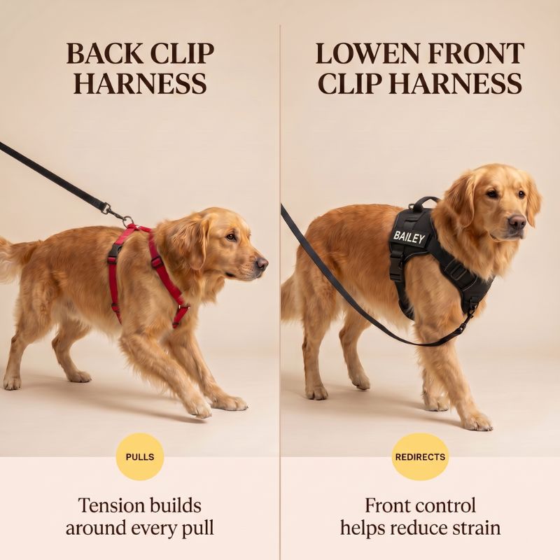 LOWEN™ No-Pull Harness