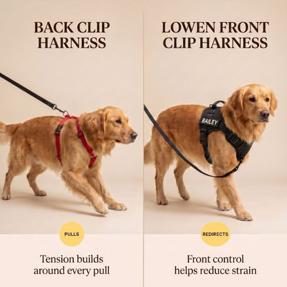 LOWEN™ No-Pull Harness
