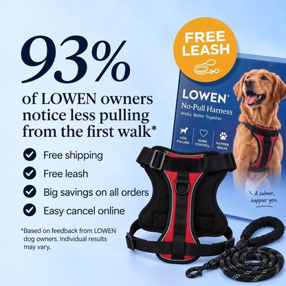 No-Pull Harness