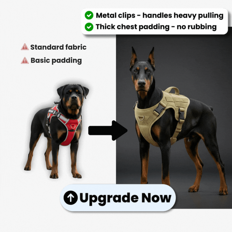 Upgrade to PREMIUM No-Pull Harness [ONE TIME OFFER]