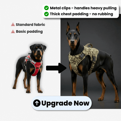 Upgrade to PREMIUM No-Pull Harness [ONE TIME OFFER]