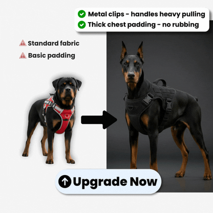 Upgrade to PREMIUM No-Pull Harness [ONE TIME OFFER]