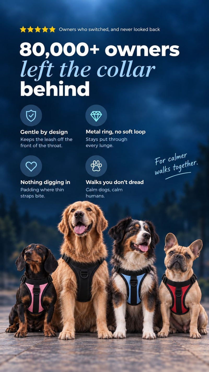 LOWEN No-Pull Harness — trusted by 80,000+ dog owners
