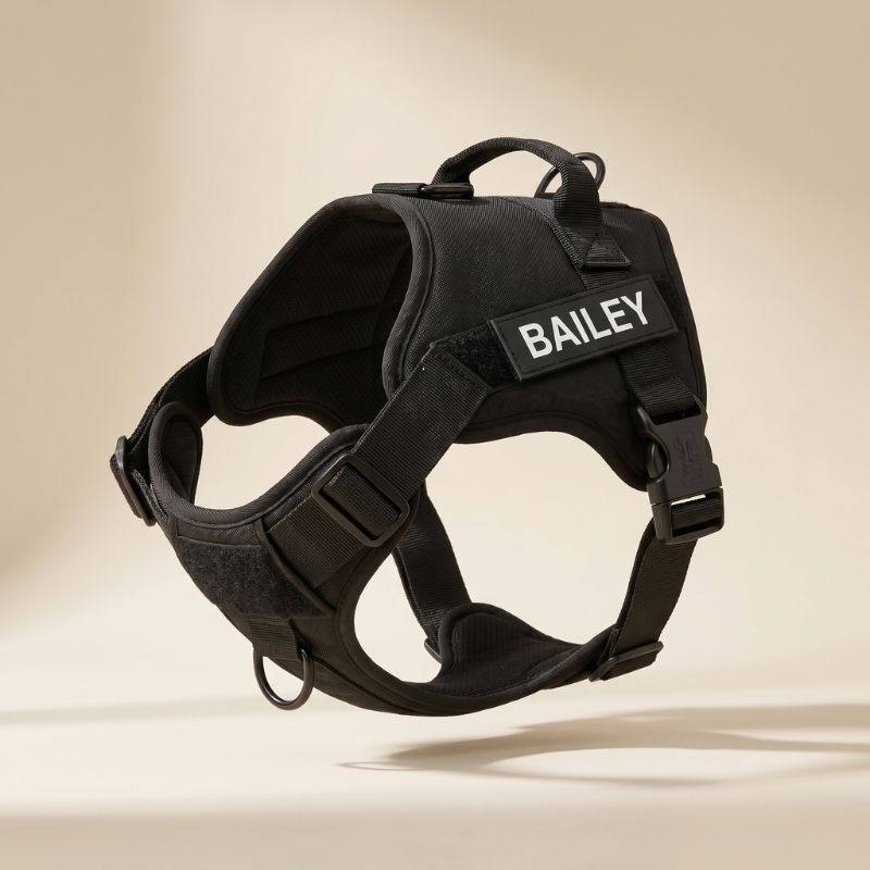 LOWEN™ No-Pull Harness