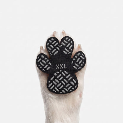 Dog Paw Protection