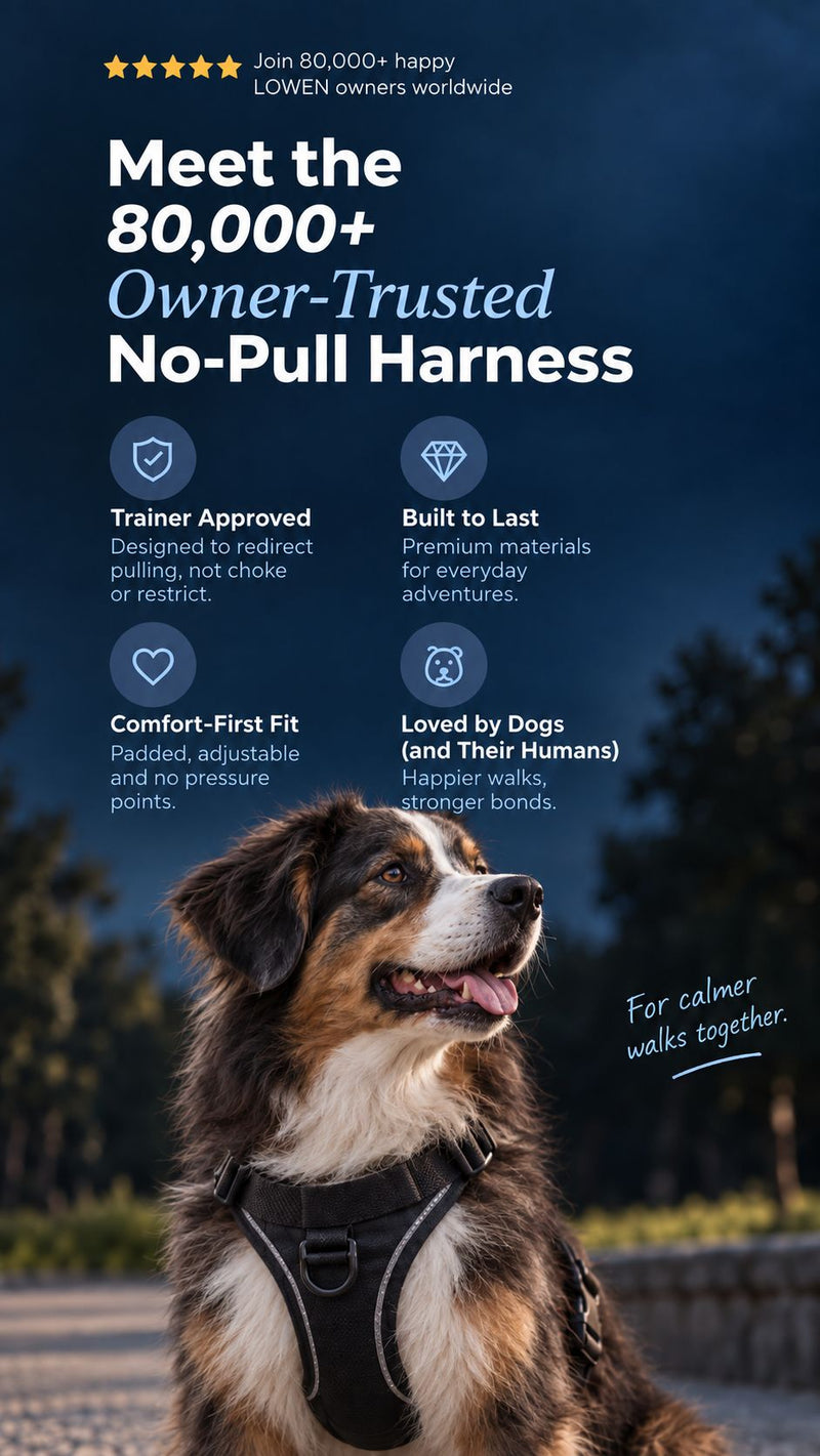 LOWEN No-Pull Harness — trusted by 80,000+ dog owners