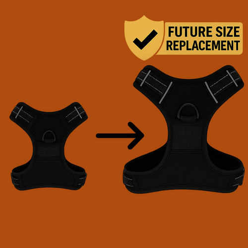 FREE Future Size Replacement