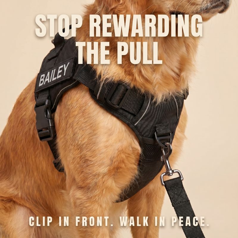 LOWEN™ No-Pull Harness