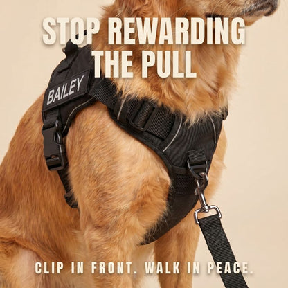 LOWEN™ No-Pull Harness