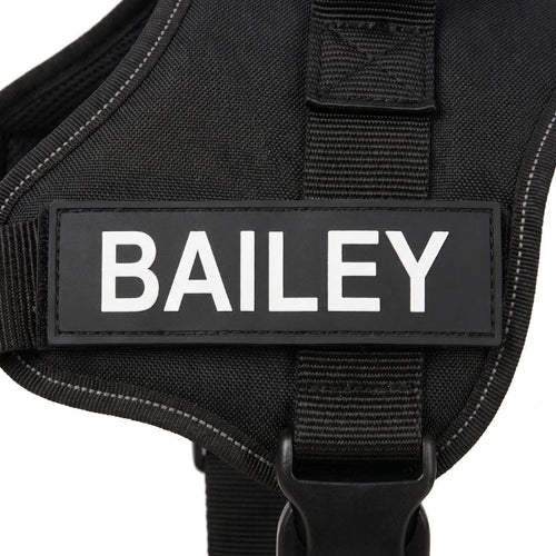 Custom Name Tag