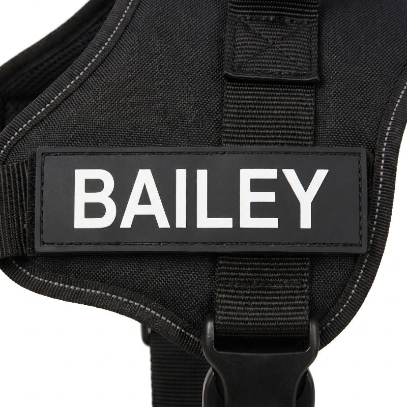 Personalized Name Tag