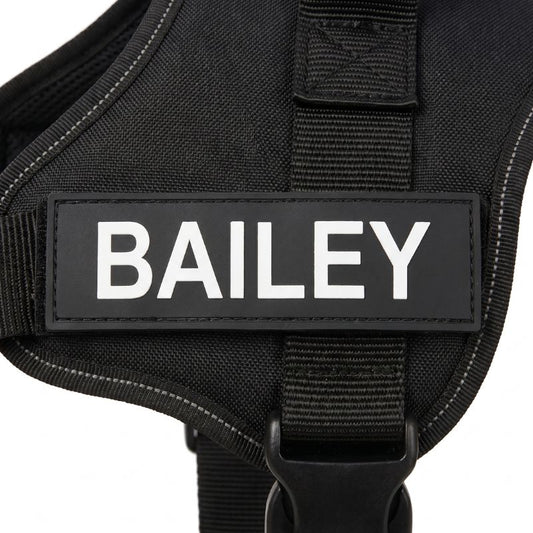 Personalized Name Tag