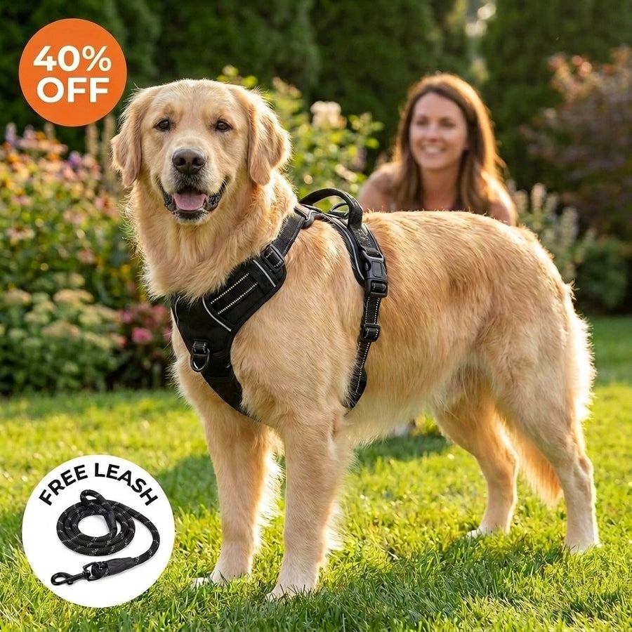 Reinforced No Pull Harness