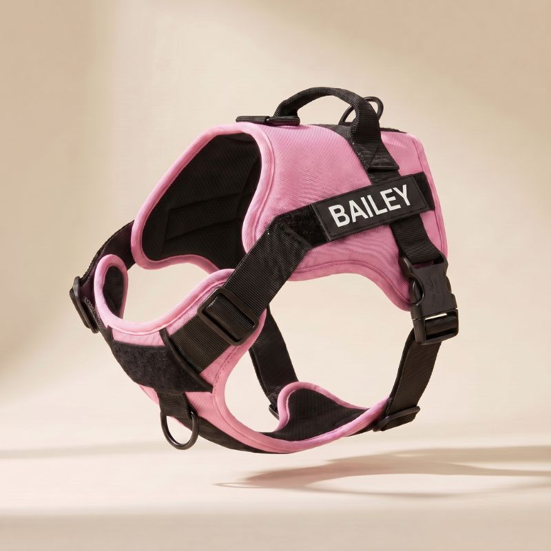 LOWEN™ No-Pull Harness