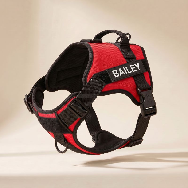 LOWEN™ No-Pull Harness