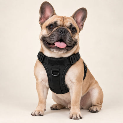 No-Pull Harness