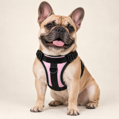 No-Pull Harness