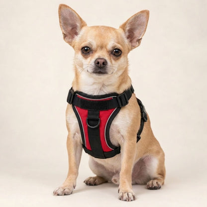 No-Pull Harness