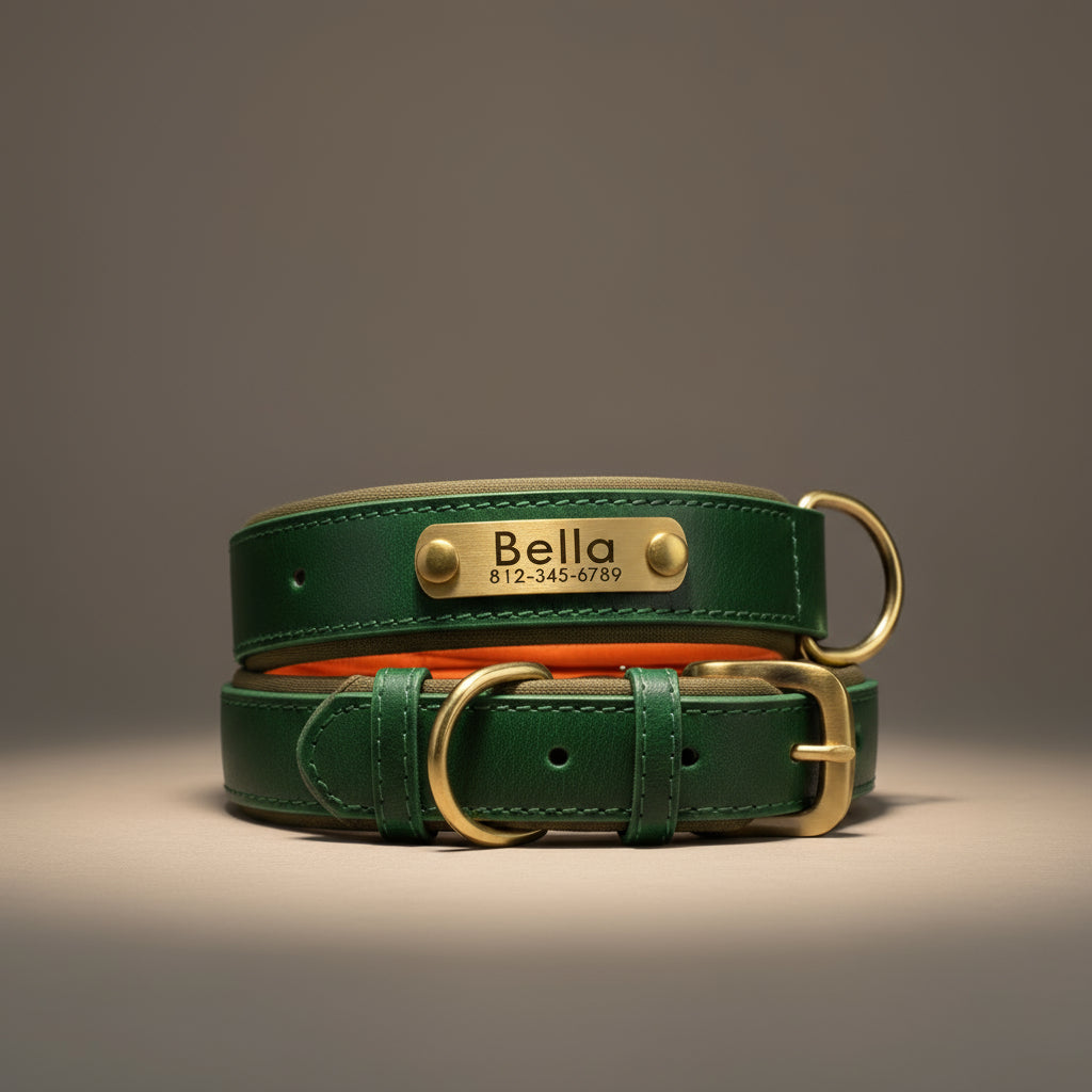 Personalized Dog Collar