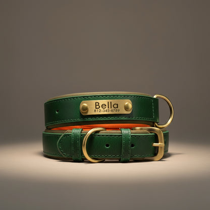 Personalized Dog Collar