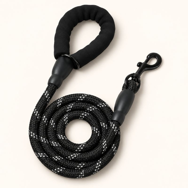 Standard Dog Leash
