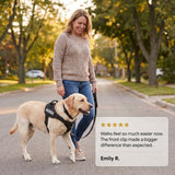 LOWEN™ No-Pull Harness